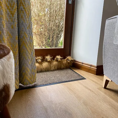 Дом отдыха Wren